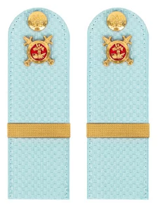 Погоны Полиции на рубашку голубые КАРТОН Звание Ефрейтор 12см