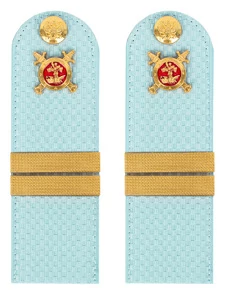 Погоны Полиции на рубашку голубые КАРТОН Звание Младший Сержант 12см