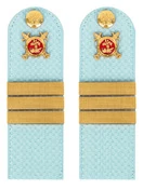 Погоны Полиции на рубашку голубые КАРТОН Звание Сержант 12 см