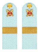 Погоны Полиции на рубашку голубые КАРТОН Звание Старший Сержант 12 см