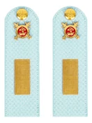 Погоны Полиции на рубашку голубые КАРТОН Звание Старшина 12 см