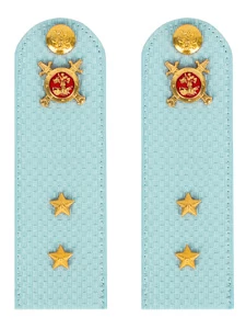 Погоны Полиции на рубашку голубые КАРТОН Звание Прапорщик 13см