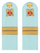 Погоны Полиции на рубашку голубые КАРТОН Звание Младший Сержант 13см