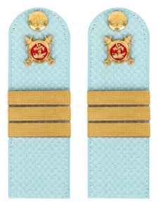 Погоны Полиции на рубашку голубые КАРТОН Звание Сержант 13 см