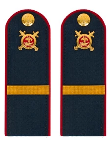 Погоны Полиции темно-синие КАРТОН Звание Ефрейтор 12см