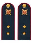 Погоны Полиции темно-синие КАРТОН Звание Прапорщик 12см