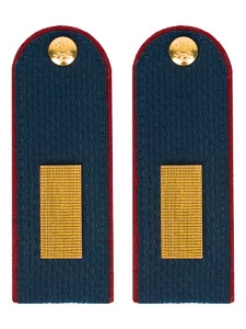 Погоны Полиции на Китель синие КАРТОН Звание Старшина Пришивные 12см