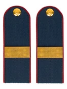 Погоны Полиции на Китель синие КАРТОН Звание Ст. Сержант Пришивные 12см