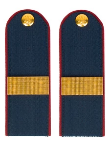 Погоны Полиции на Китель синие КАРТОН Звание Ст. Сержант Пришивные 12см