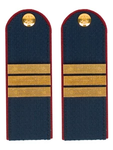 Погоны Полиции на Китель синие КАРТОН Звание Сержант Пришивные 12см
