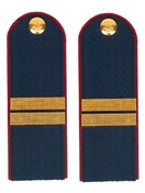 Погоны Полиции на Китель синие КАРТОН Звание Младший Сержант Пришивные 12см