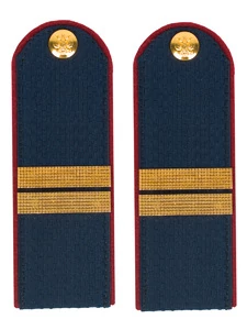 Погоны Полиции на Китель синие КАРТОН Звание Младший Сержант Пришивные 12см