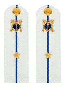 Погоны Юстиции белые КАРТОН звание Младший лейтенант 12см