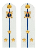 Погоны Юстиции белые КАРТОН звание Старший Лейтенант 12см