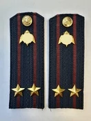 Погоны Росгвардии ФСВНГ на куртку 13,5 см ПЛАСТИК звание Подполковник цвет темно-синий