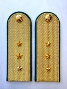 Погоны ФССП парадные золотые с фурнитурой звание Старший Прапорщик Картон