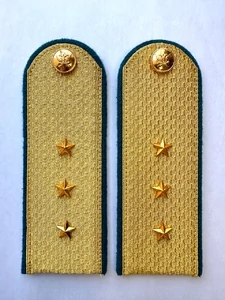 Погоны ФССП парадные золотые с фурнитурой звание Старший Прапорщик Картон
