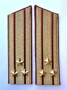 Погоны Росгвардии ФСВНГ парадные золотые 17 см Скос звание Полковник