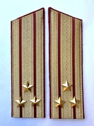 Погоны Росгвардии ФСВНГ парадные золотые 17 см Скос звание Полковник