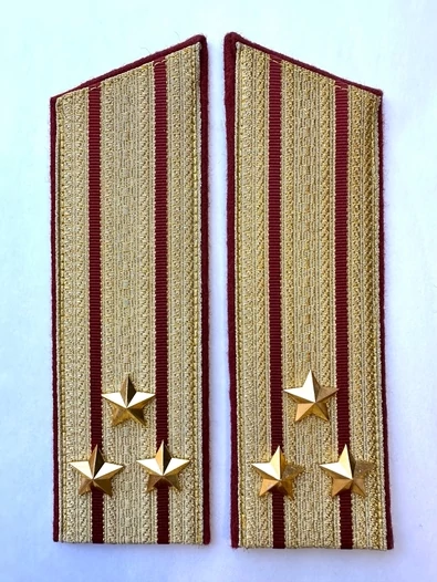 Погоны Росгвардии ФСВНГ парадные золотые 17 см Скос звание Полковник