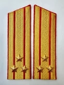 Погоны Общевойсковые парадные Полковник Скос картон цвет золотой