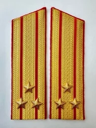 Погоны Общевойсковые парадные Полковник Скос картон цвет золотой