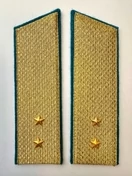 Погоны ВДВ, ВКС, ВВС парадные золотые с фурнитурой Скос на Китель звание Прапорщик