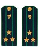 Погоны Прокуратуры темно-синие КАРТОН Звание Полковник 13 см