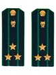 Погоны Прокуратуры темно-синие КАРТОН Звание Полковник 13 см