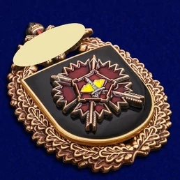 Нагрудный знак "24-я отдельная бригада специального назначения ГРУ"