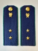 Погоны Прокуратуры темно-синие КАРТОН 13,5 см Звание Прапорщик
