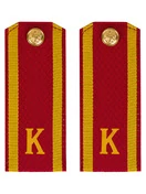 Погоны курсантские К, галунные (13 см) с фурнитурой цвет красный
