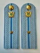 Погоны ФССП с фурнитурой звание Младший Лейтенант картон 14см цвет голубой
