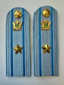 Погоны ФССП с фурнитурой звание Майор картон 14см цвет голубой