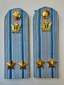 Погоны ФССП с фурнитурой звание Подполковник картон 14см цвет голубой