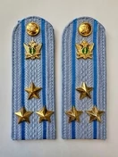 Погоны ФССП с фурнитурой звание Полковник картон 14см цвет голубой