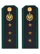 Погоны Пограничной службы ПС ФСБ в сборе картон на куртку звание Старший прапорщик 12см