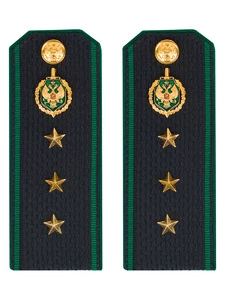 Погоны Пограничной службы ПС ФСБ в сборе картон на куртку звание Старший прапорщик 12см