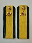 Погоны Росгвардии ФСВН 13,5 см ПЛАСТИК звание Старшина цвет темно-синий галун