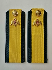 Погоны Росгвардии ФСВН 13,5 см ПЛАСТИК звание Старшина цвет темно-синий галун