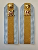 Погоны Полиции на рубашку голубые ПЛАСТИК Звание Старшина 13,5 см галун