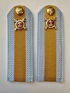 Погоны Полиции на рубашку голубые ПЛАСТИК Звание Старшина 13,5 см галун