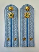 Погоны ФССП с фурнитурой звание Лейтенант картон 13см цвет голубой