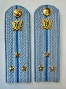 Погоны ФССП с фурнитурой звание Старший Лейтенант картон 13см цвет голубой