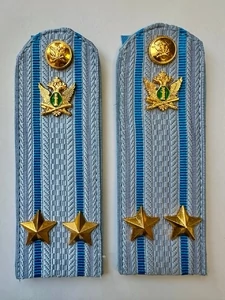 Погоны ФССП с фурнитурой звание Подполковник картон 12см цвет голубой