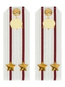 Погоны Росгвардии ФСВНГ на рубашку белые 14х5 см Картон звание Подполковник