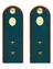 Погоны МЧС Прапорщик ПЛАСТИК