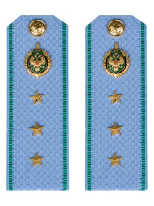 Погоны ПС ФСБ голубые картон звание Старший Прапорщик 13см