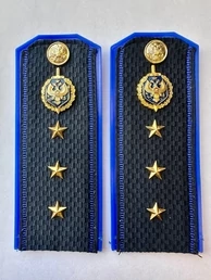 Погоны ФСБ на куртку синие ПЛАСТИК звание Старший Прапорщик 13,5см
