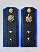 Погоны ФСБ на куртку синие ПЛАСТИК звание Прапорщик 13,5см
